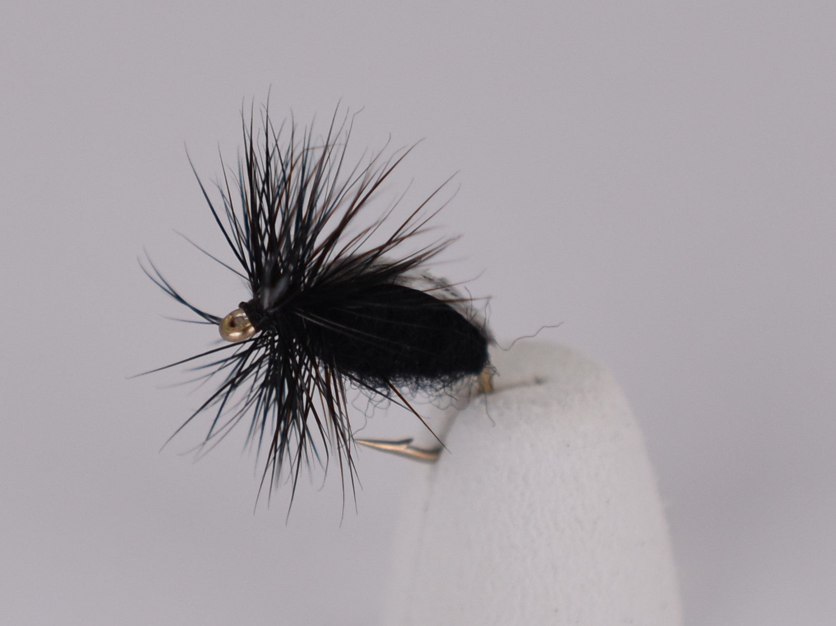 Black Beetle (3 Pack) Size 12 Daiichi Hook - DNA FISHING TACKLE