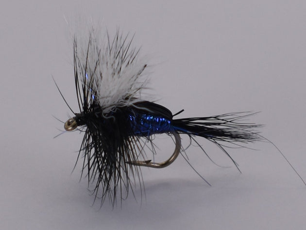 Humpy Blue Blow Fly (3 Pack) - DNA FISHING TACKLE