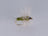 Blue Winged Olive Emerger (12 Pack) - DNA FISHING TACKLE