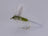 Blue Winged Olive Thorax (12 Pack) - DNA FISHING TACKLE