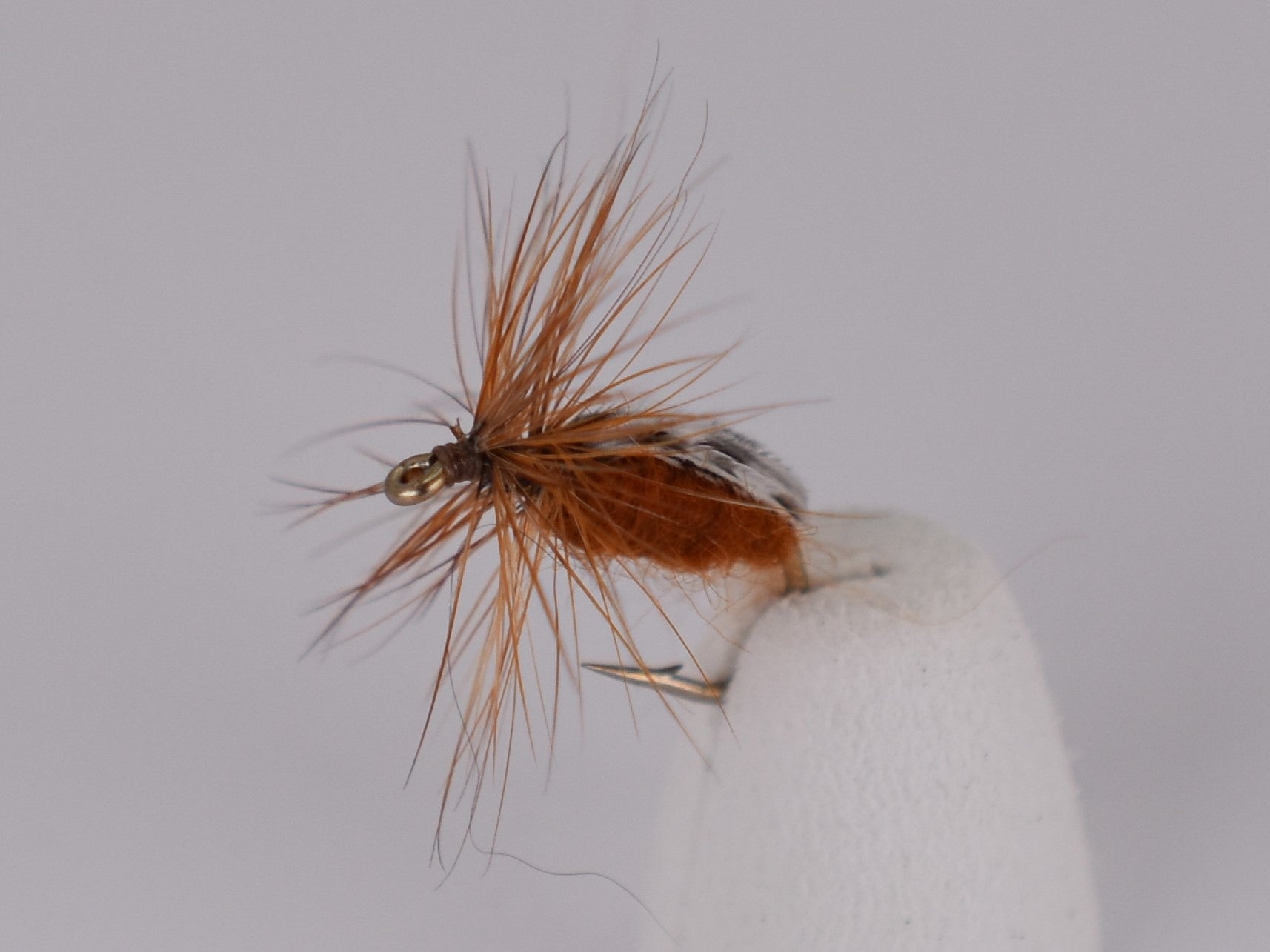 Brown Beetle (12 Pack) Size 12 Daiichi Hook - DNA FISHING TACKLE