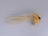 Brush Fly GT Tan (Size 4/0 Gamakatsu SL12S Hook) - DNA FISHING TACKLE