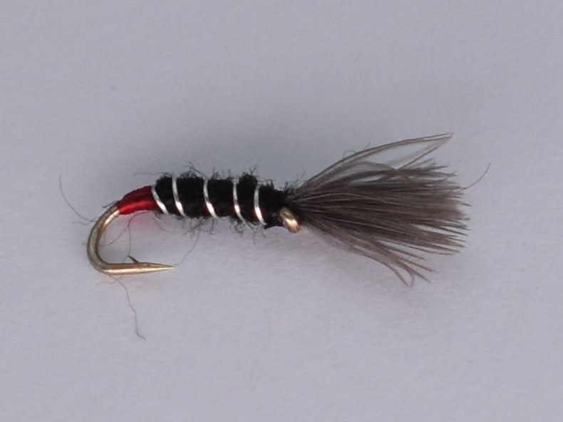 CDC Shuttlecock Buzzer Black (12 Pack) - DNA FISHING TACKLE