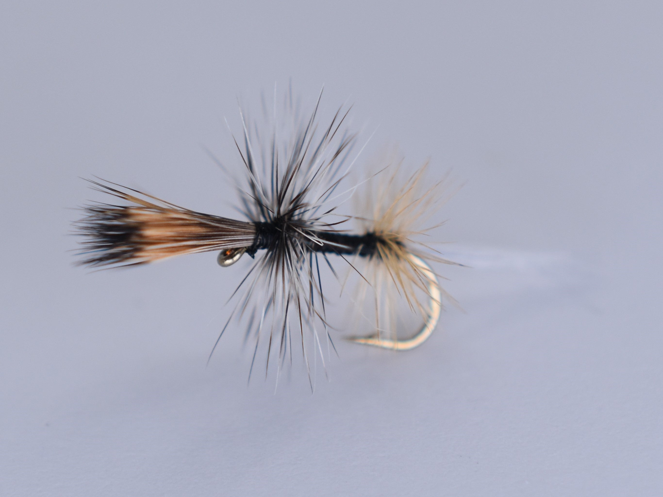 Callibaetis Emerging Mayfly (3 Pack) - DNA FISHING TACKLE