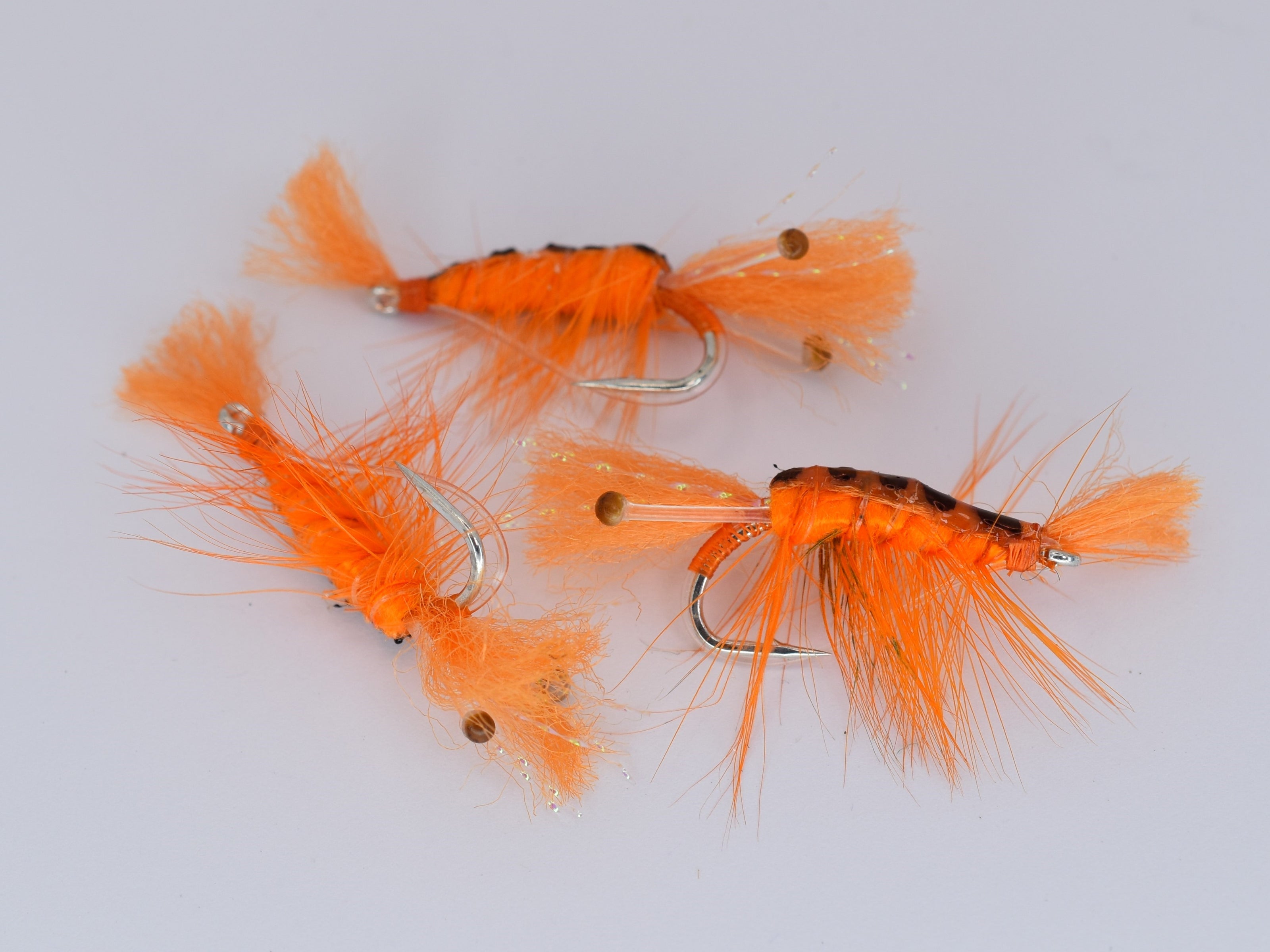 Ceviche Shrimp Orange (3 Pack) - DNA FISHING TACKLE