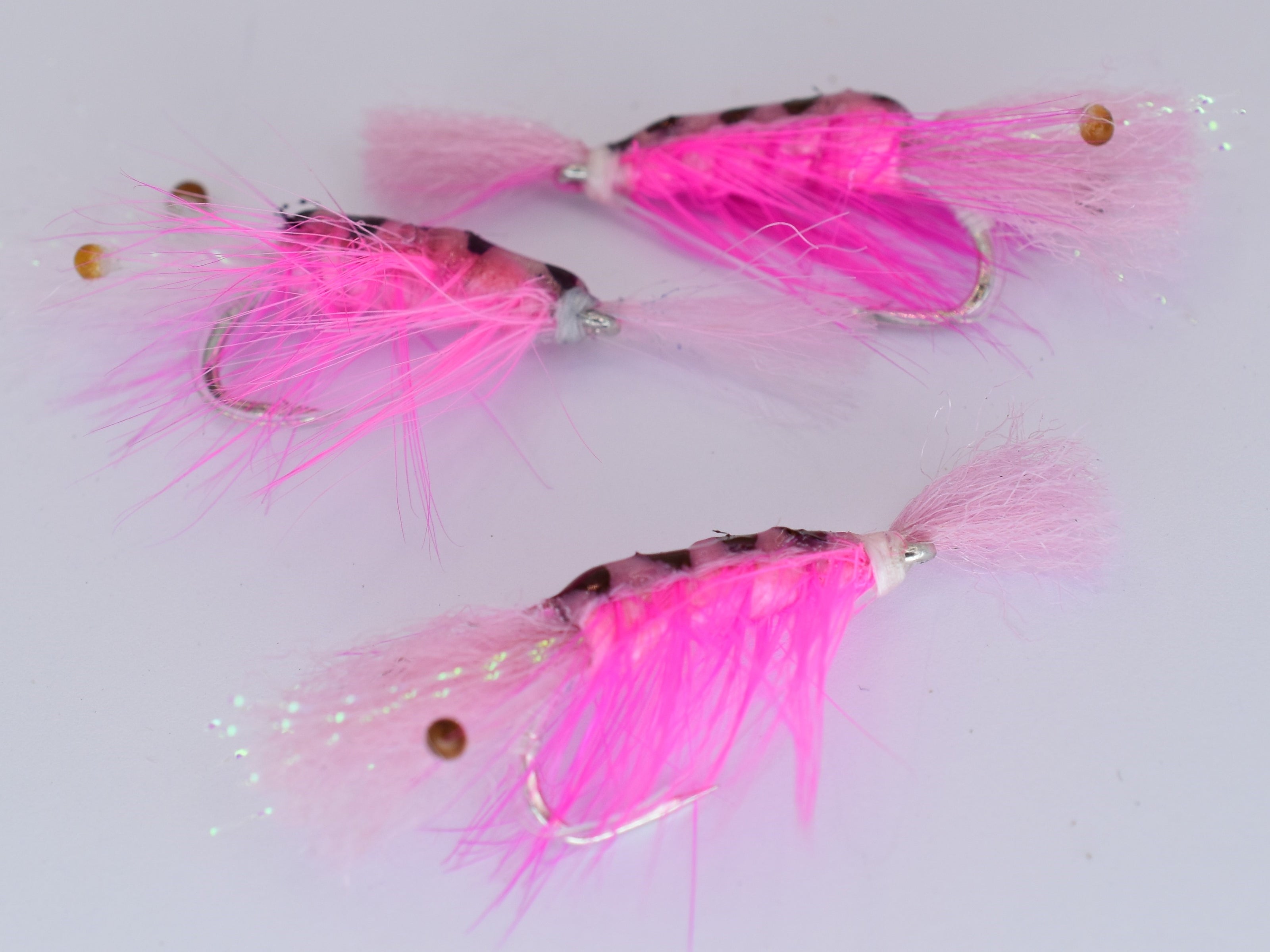 Ceviche Shrimp Pink (3 Pack) - DNA FISHING TACKLE