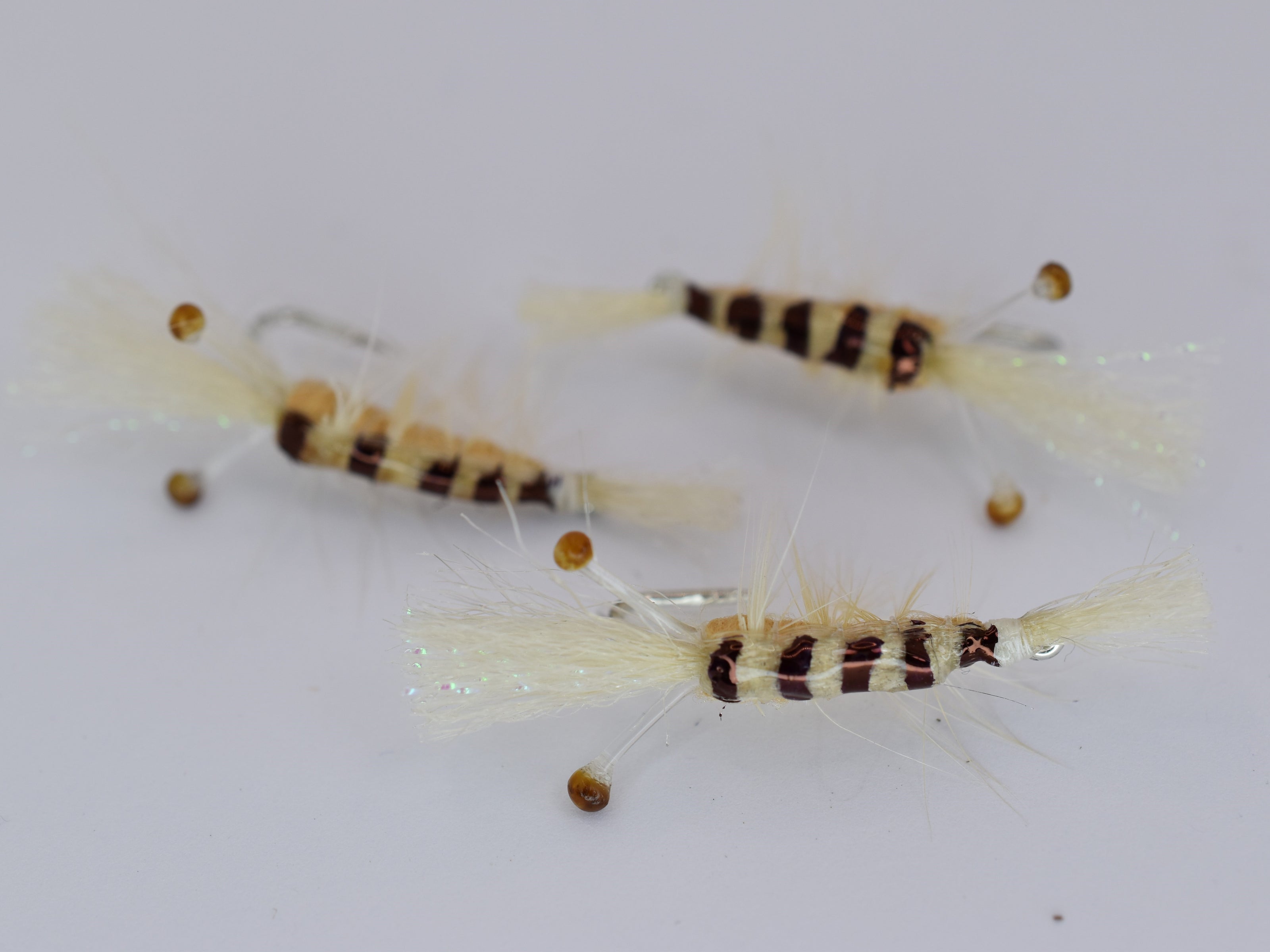 Ceviche Shrimp Tan (3 Pack) - DNA FISHING TACKLE