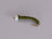 Chironomid Bomber Green (3 Pack) - DNA FISHING TACKLE