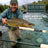 Elite IM6 FW Series Fly Rod - 9" 4pce- Line Weight 8