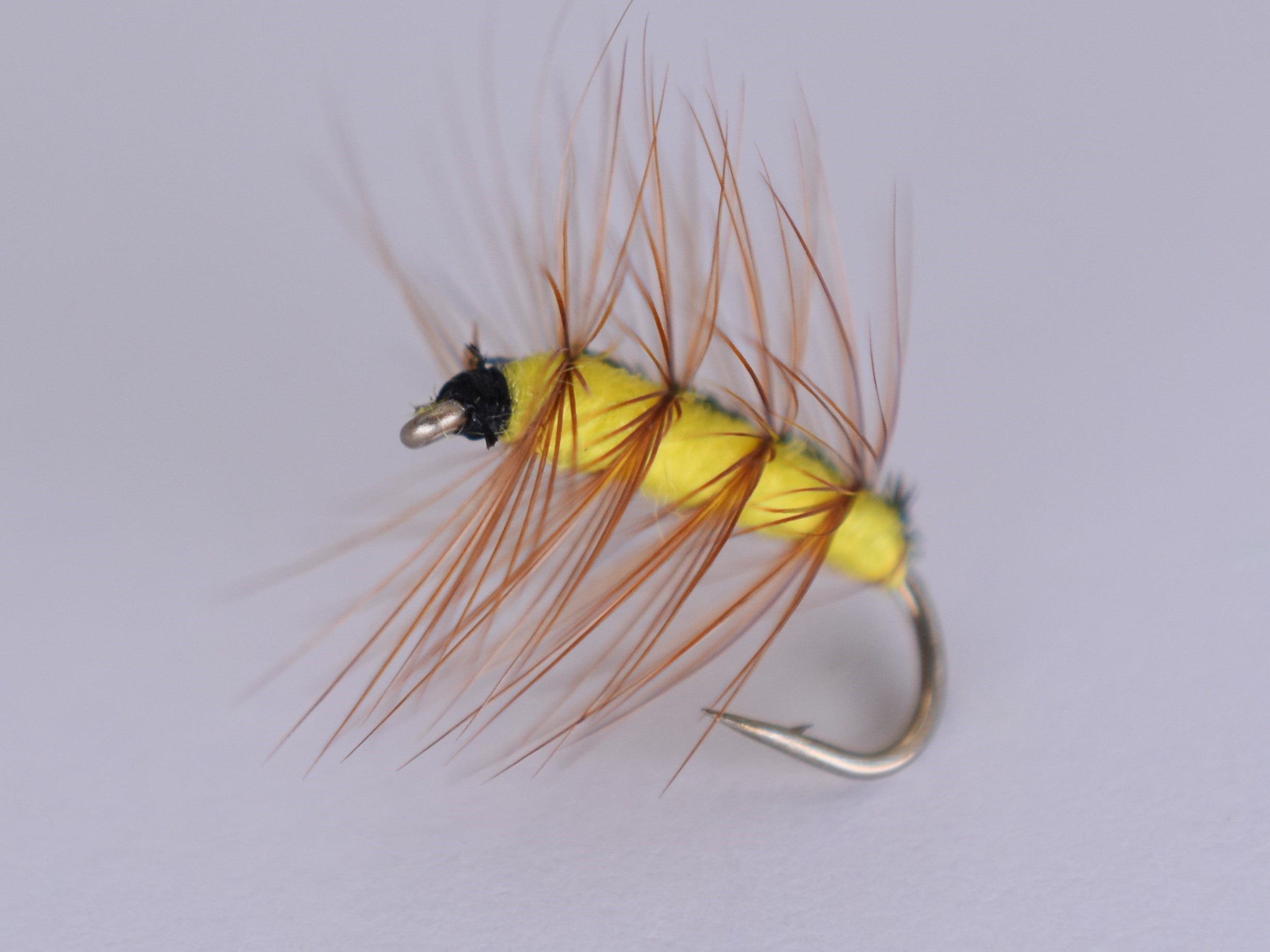 Crackle Back Yellow (12 Pack) - DNA FISHING TACKLE