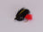 Craigs Nighttime Wet Variant (12 Pack) - DNA FISHING TACKLE