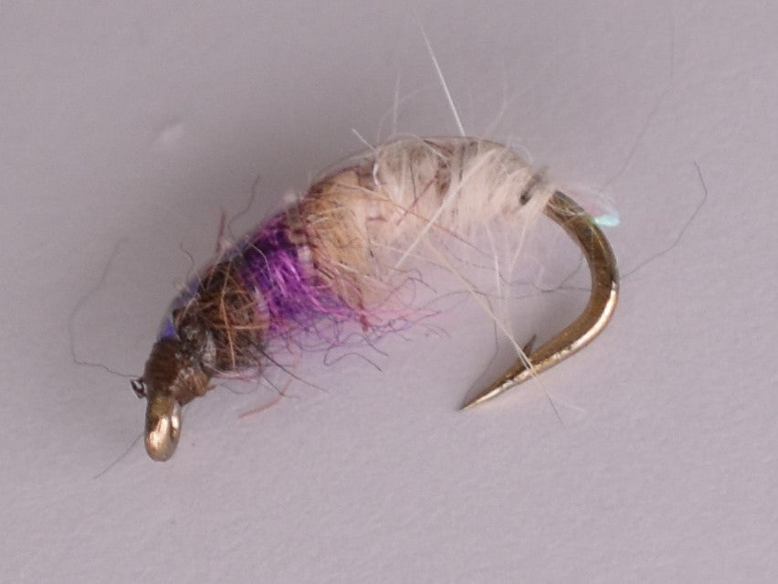 Czech Nymph Rainbow (12 Pack) - DNA FISHING TACKLE