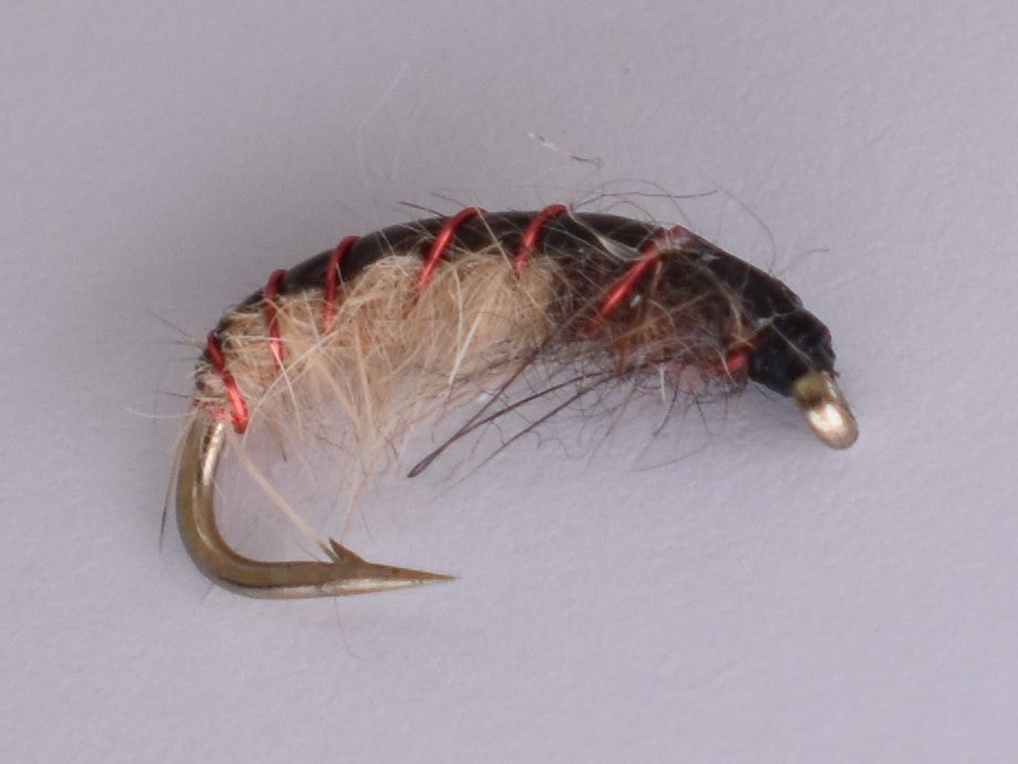 Czech Nymph Red Ribbed Tan (12 Pack) - DNA FISHING TACKLE