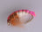 Czech Nymph White Pink (12 Pack) - DNA FISHING TACKLE