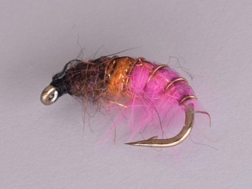 Czech Nymph Pink Lady (12 Pack) - DNA FISHING TACKLE