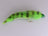 Conehead Zonker Green Barred (3 Pack) - DNA FISHING TACKLE