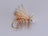 Elk Caddis Tan (12 Pack) - DNA FISHING TACKLE