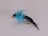 Estaz Stonefly Metallic Blue Nymph (12 Pack) - DNA FISHING TACKLE