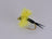 Estaz Stonefly Metallic Yellow Nymph (3 Pack) - DNA FISHING TACKLE