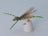 Foam Micro Hopper Tan (12 Pack) - DNA FISHING TACKLE