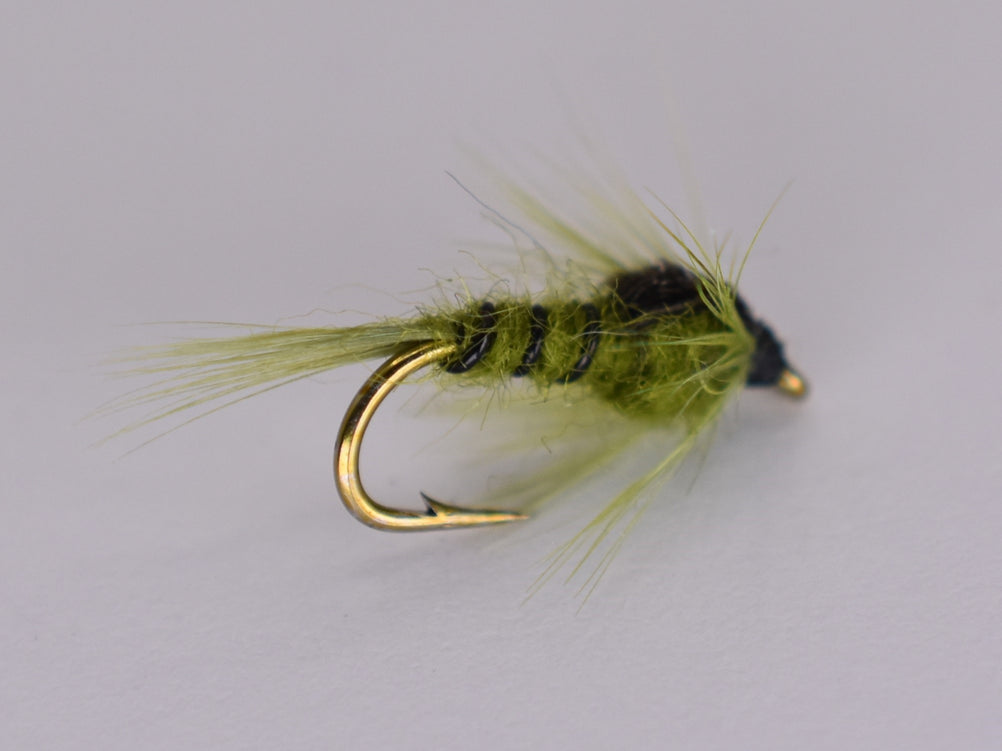 Green Drake Nymph (3 Pack)
