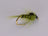 Green Drake Nymph (3 Pack) - DNA FISHING TACKLE