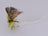Green Drake Spinner Olive (12 pack) - DNA FISHING TACKLE
