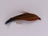 Hamills Killer Brown (12 Pack) - DNA FISHING TACKLE
