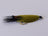 Hamills Killer Olive (12 Pack) - DNA FISHING TACKLE