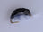 Heavy Epoxy Shrimp Dark Blue (12 Pack) - DNA FISHING TACKLE