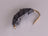 Heavy Epoxy Shrimp Grey (3 Pack) - DNA FISHING TACKLE