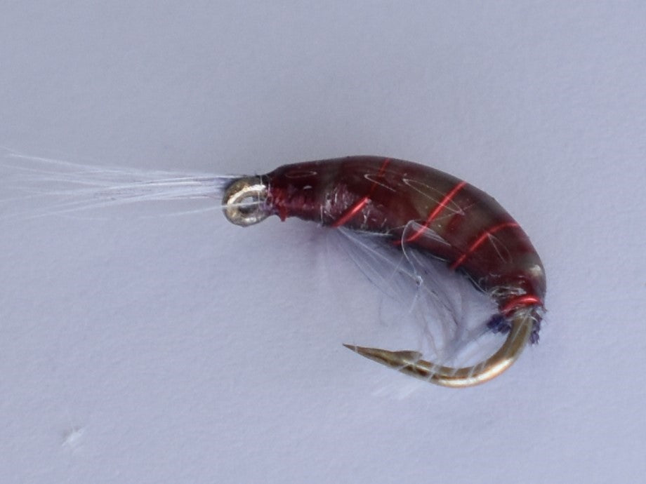 Heavy Epoxy Shrimp Natural (12 Pack) - DNA FISHING TACKLE