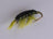 Heavy Epoxy Shrimp Olive (12 Pack) - DNA FISHING TACKLE