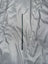 Elite IM6 FW Series Fly Rod - 9" 4pce - Line Weight 5 Warranty Claim