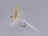 Light Cahill (12 Pack) - DNA FISHING TACKLE