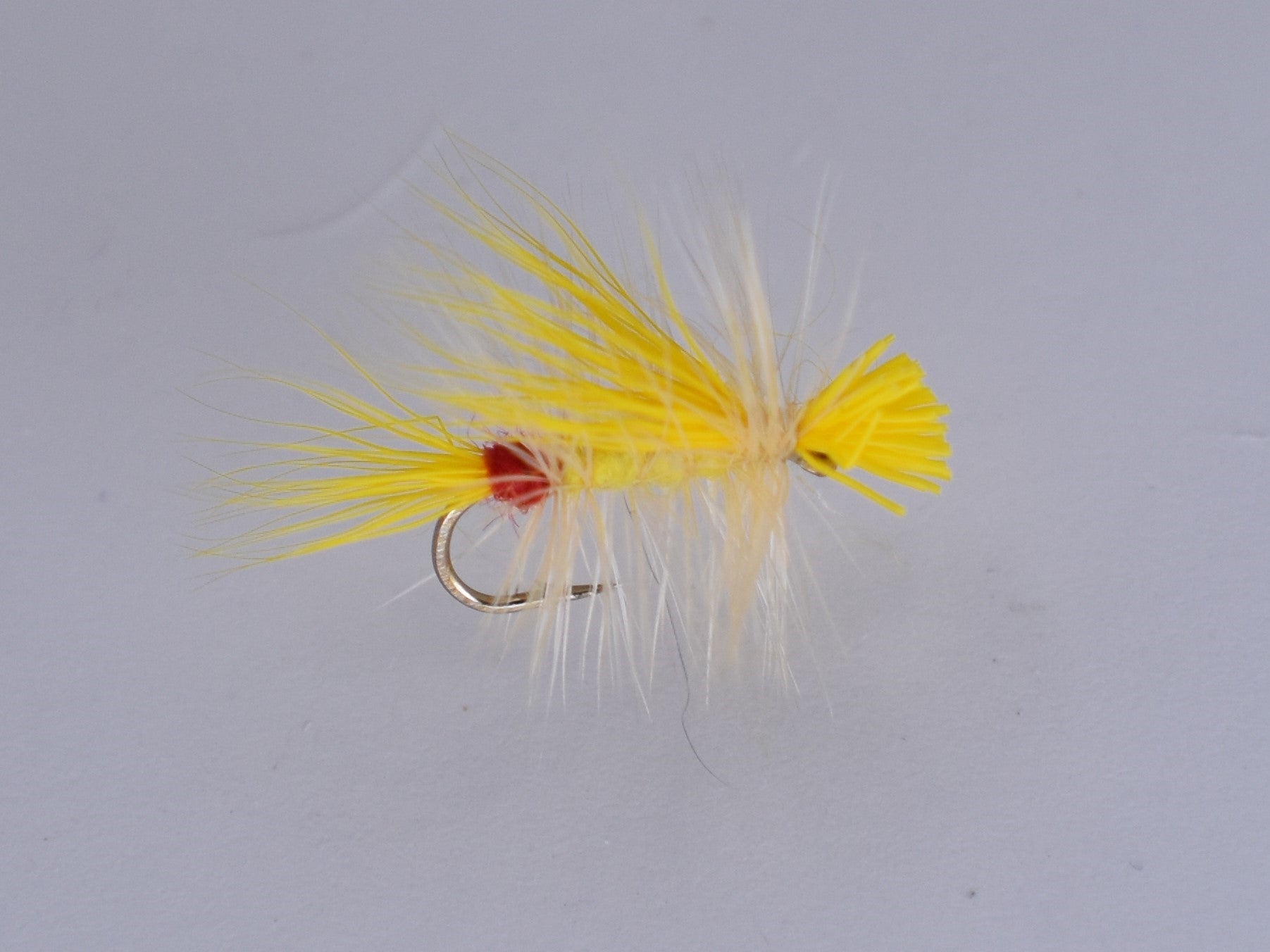 Little Yellow Stonefly (12 Pack) - DNA FISHING TACKLE