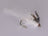 Poxyback Callibaetis Nymph (3 Pack) - DNA FISHING TACKLE