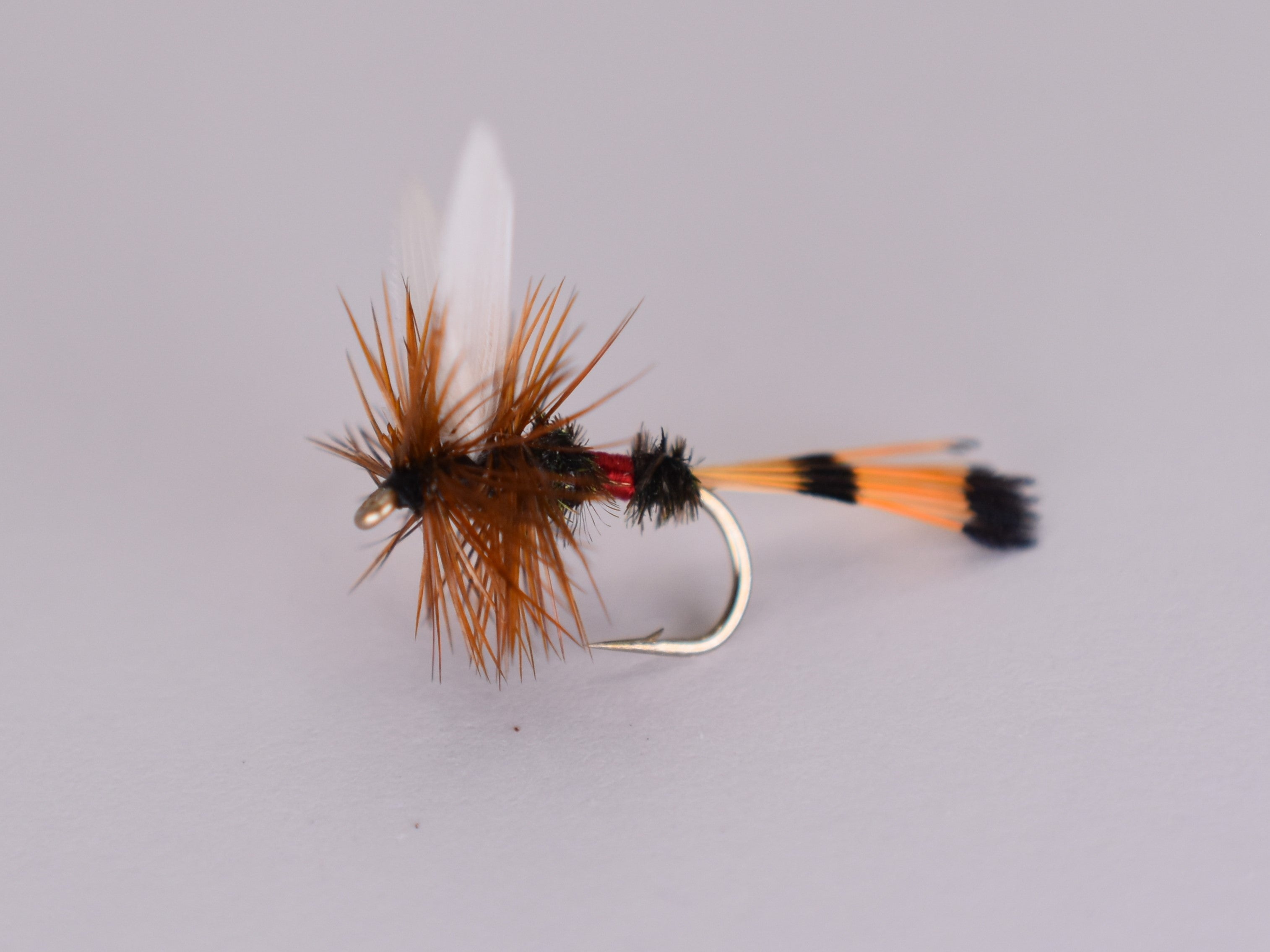 Royal Coachman (12 Pack) - DNA FISHING TACKLE