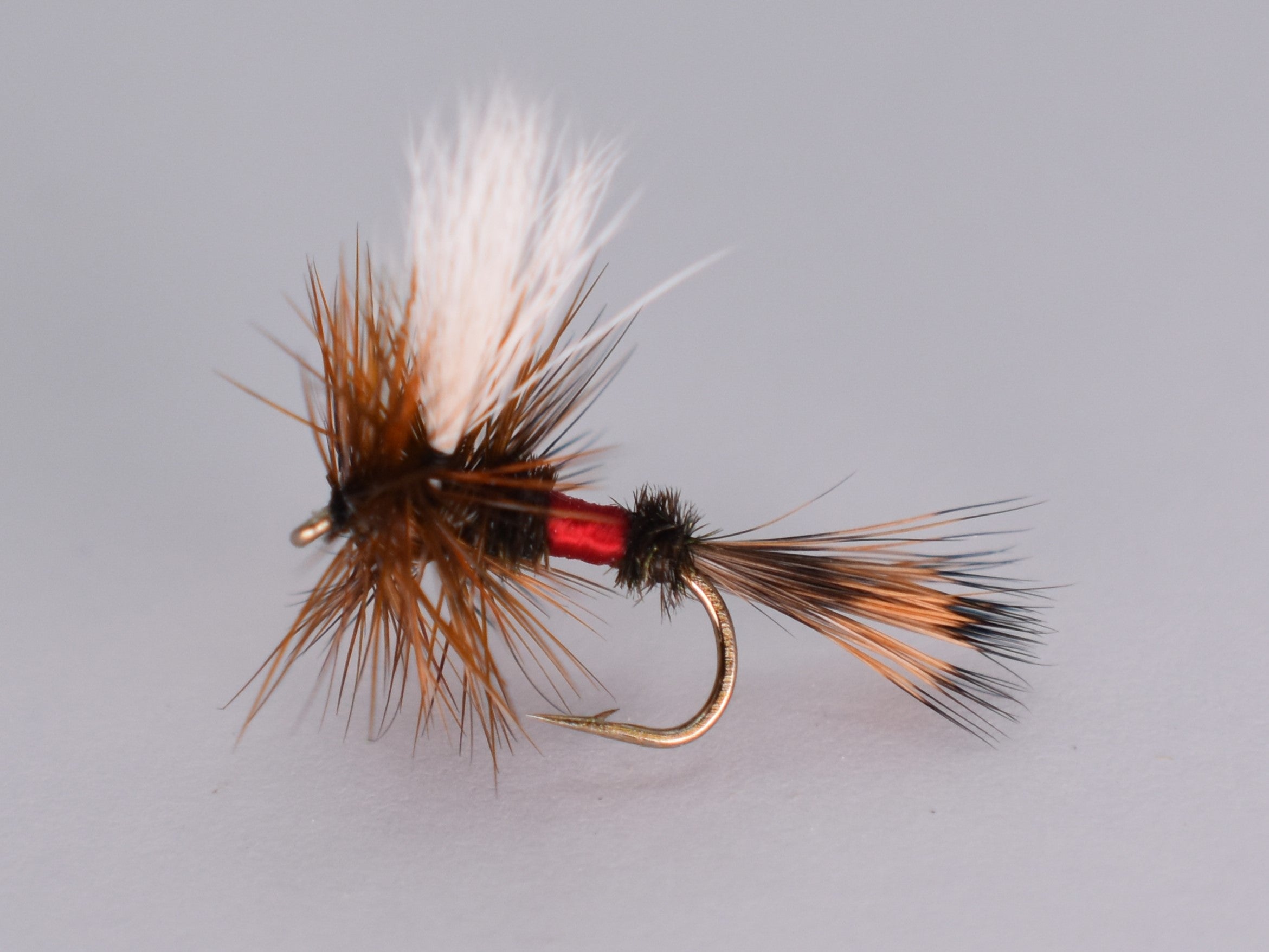 Royal Wulff (12 Pack) - DNA FISHING TACKLE