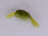 Scud Olive (3 Pack) - DNA FISHING TACKLE