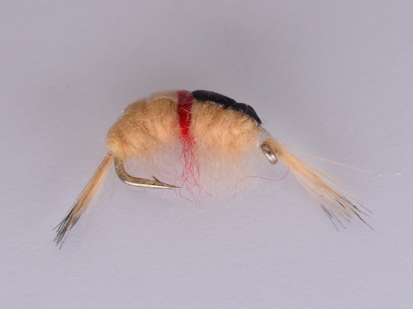 Scud Tan Pregnant (Per Pack) - DNA FISHING TACKLE