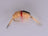 Scud Tan Pregnant (Per Pack) - DNA FISHING TACKLE