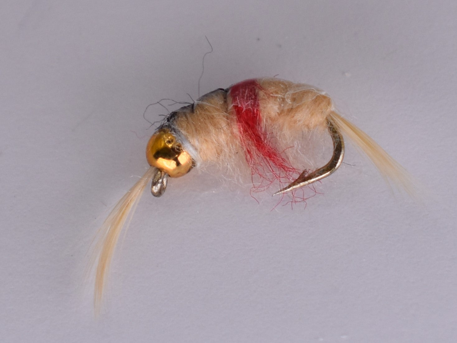Scud Tan Pregnant Bead Head (Per Pack) - DNA FISHING TACKLE