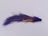 The Conehead Articulated Wolverine Purple Size 6 Hook (3 Pack) - DNA FISHING TACKLE